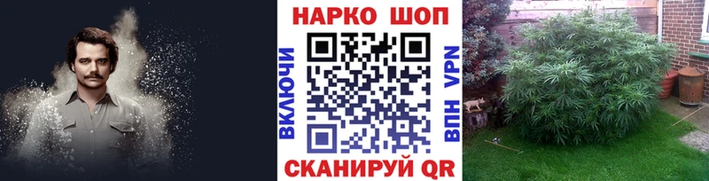 A PVP Дедовск