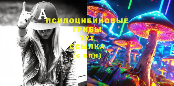 мдпв Горно-Алтайск