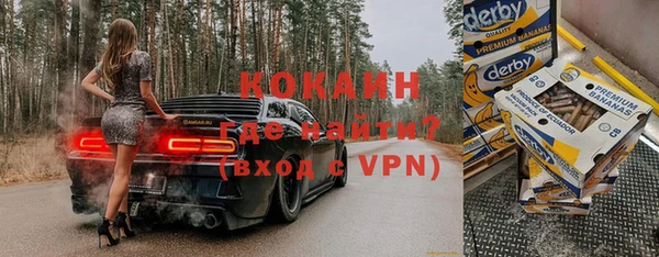 мдпв Горно-Алтайск