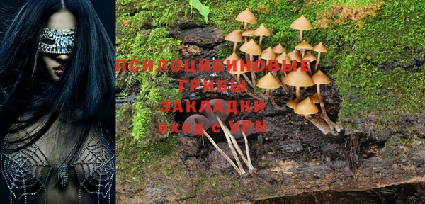 дурь Вязьма