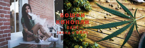 мдпв Горно-Алтайск