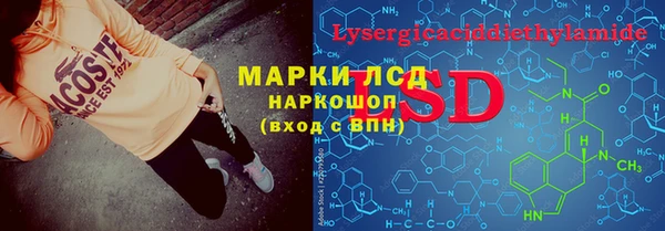 индика Вязники